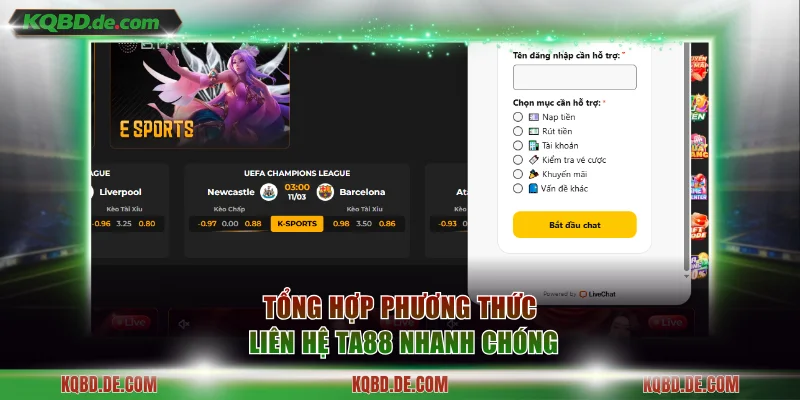 Cập nhật 3 cách thức liên hệ nhà cái nhanh chóng